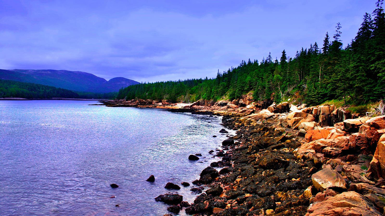 Acadia National Park Lakeshore