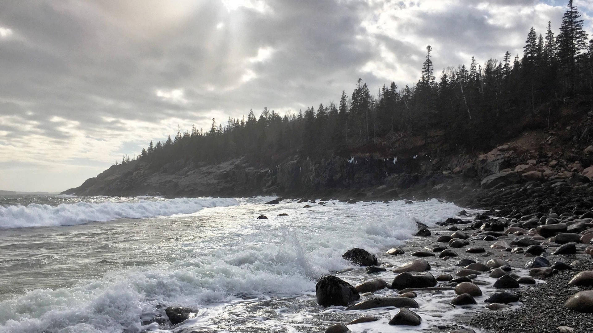 Acadia National Park Monochrome