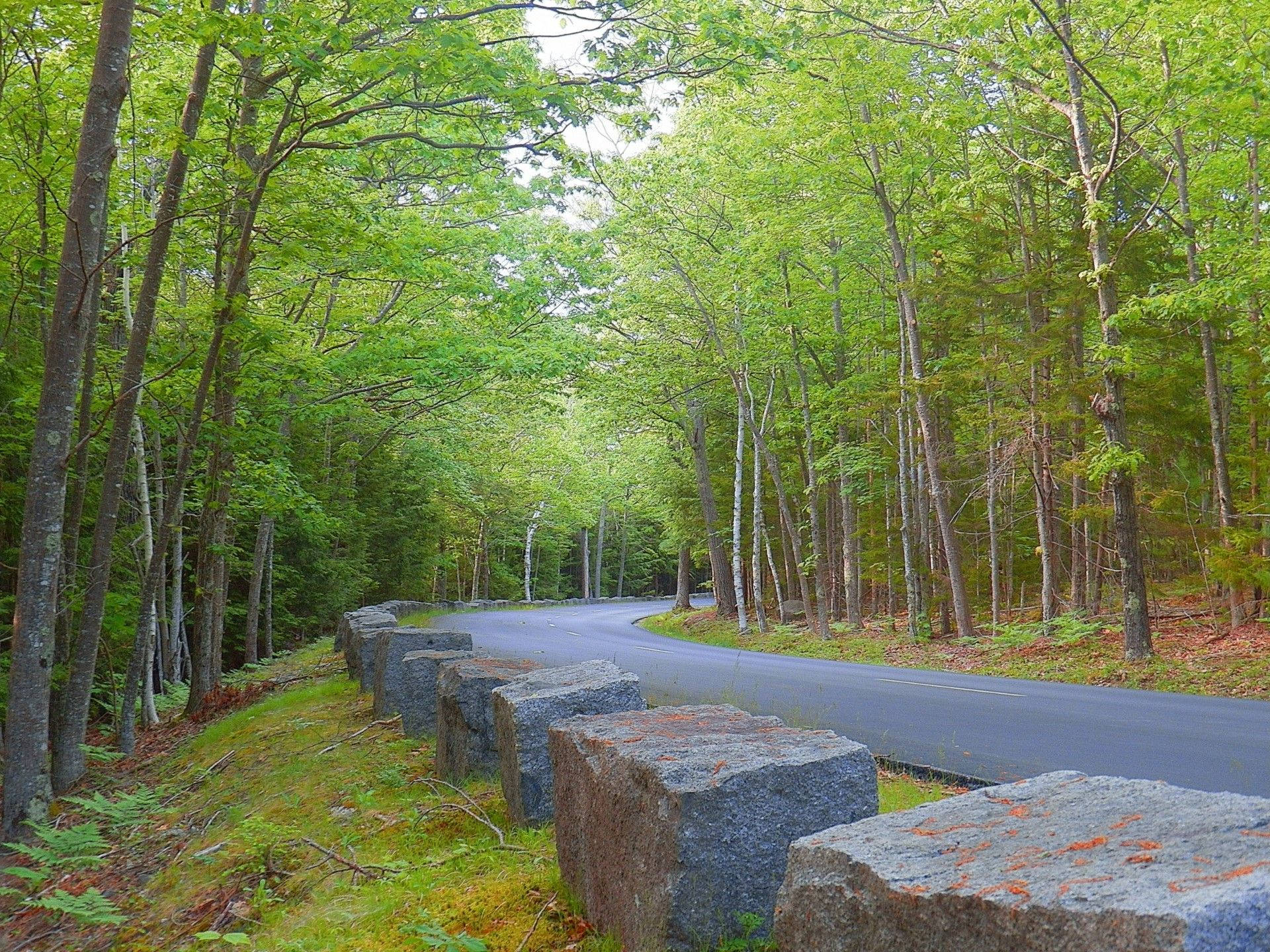 Acadia National Park Road