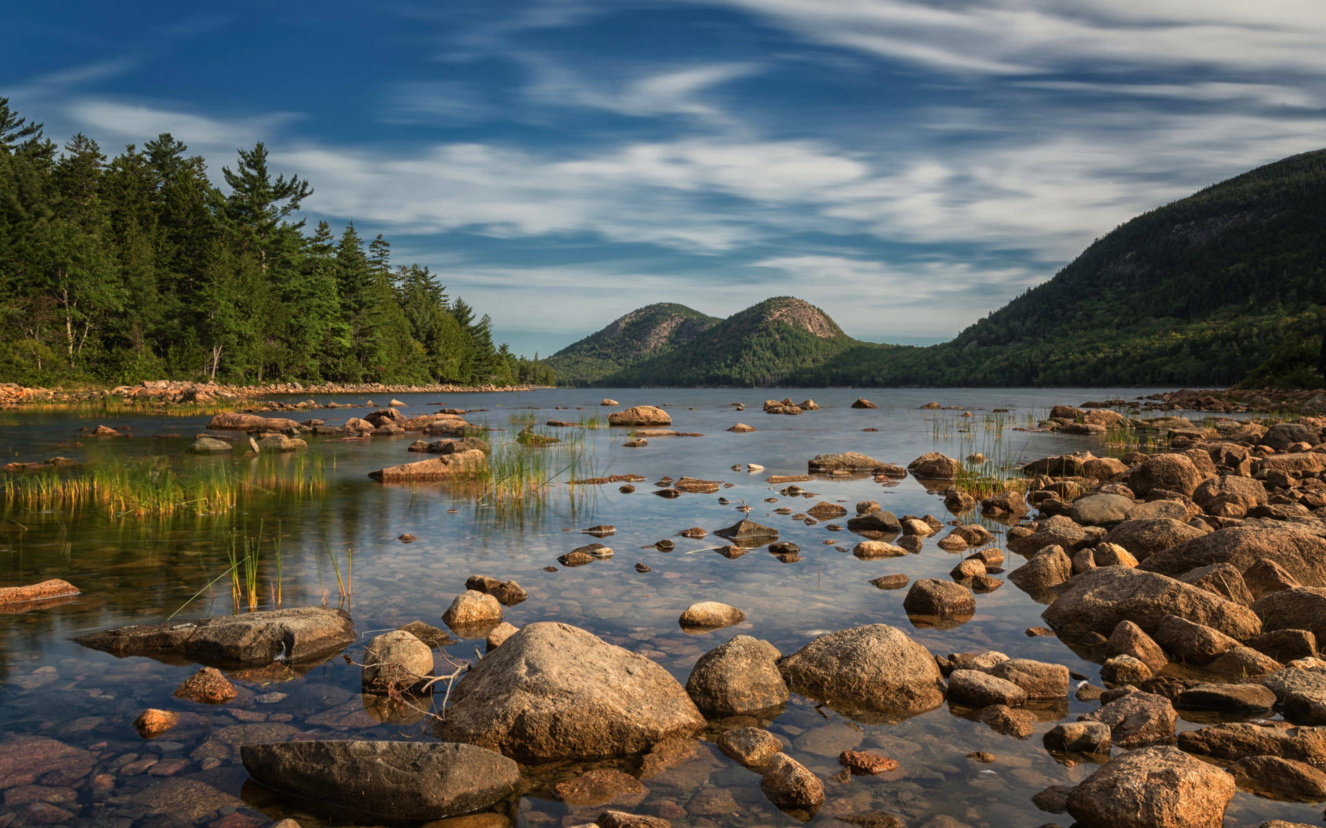 Acadia National Park Rocks Background