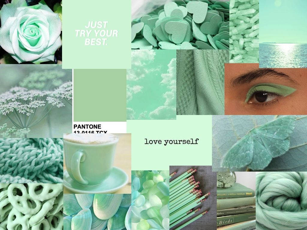 Accessory Pastel Green Aesthetic Laptop Background