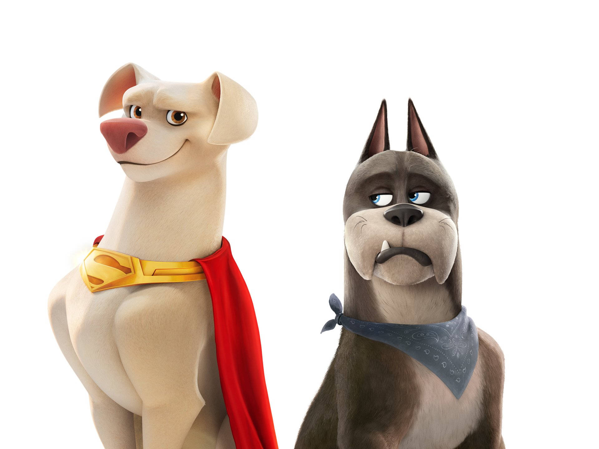Ace And Krypto, The Dynamic Duo From Dc League Of Super Pets. Background