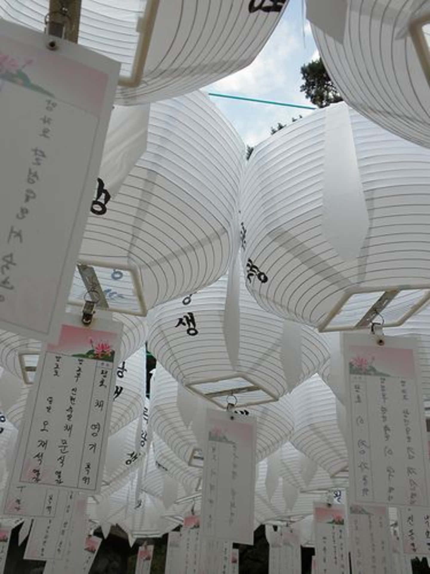 Achieve A Refined Zen Aesthetic With Japanese White Design Background