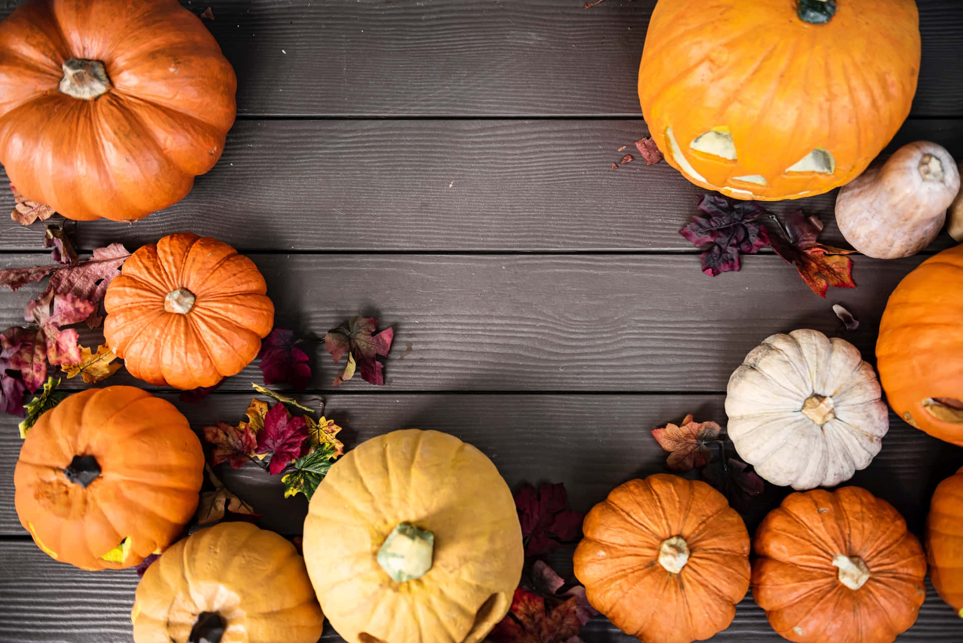 Acres Of Pumpkins Through A Sea Of Color Background