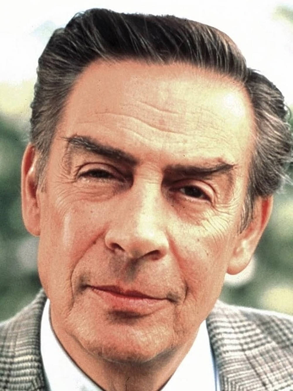 Actor Jerry Orbach Law And Order Background