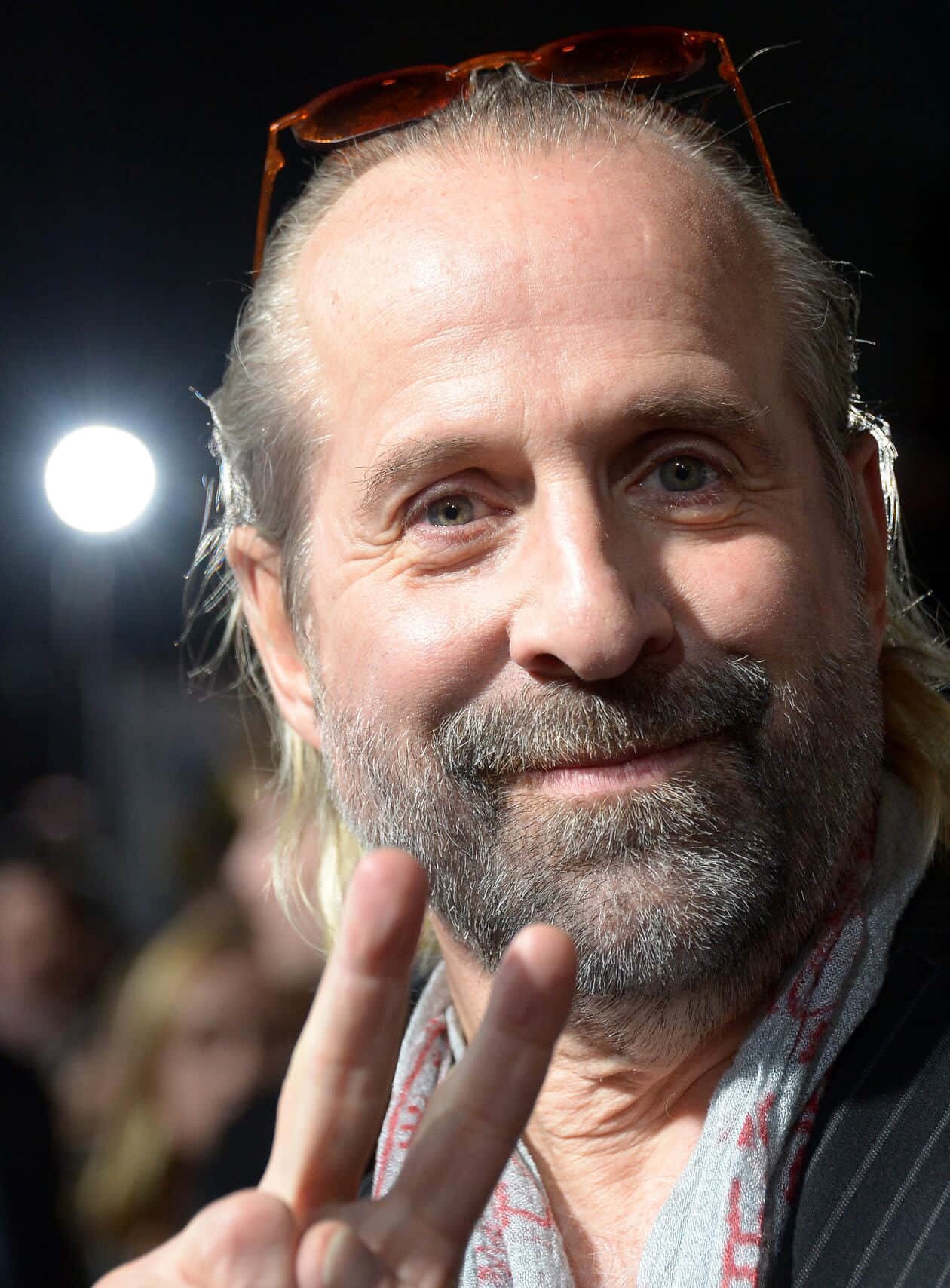 Actor Peter Stormare Background