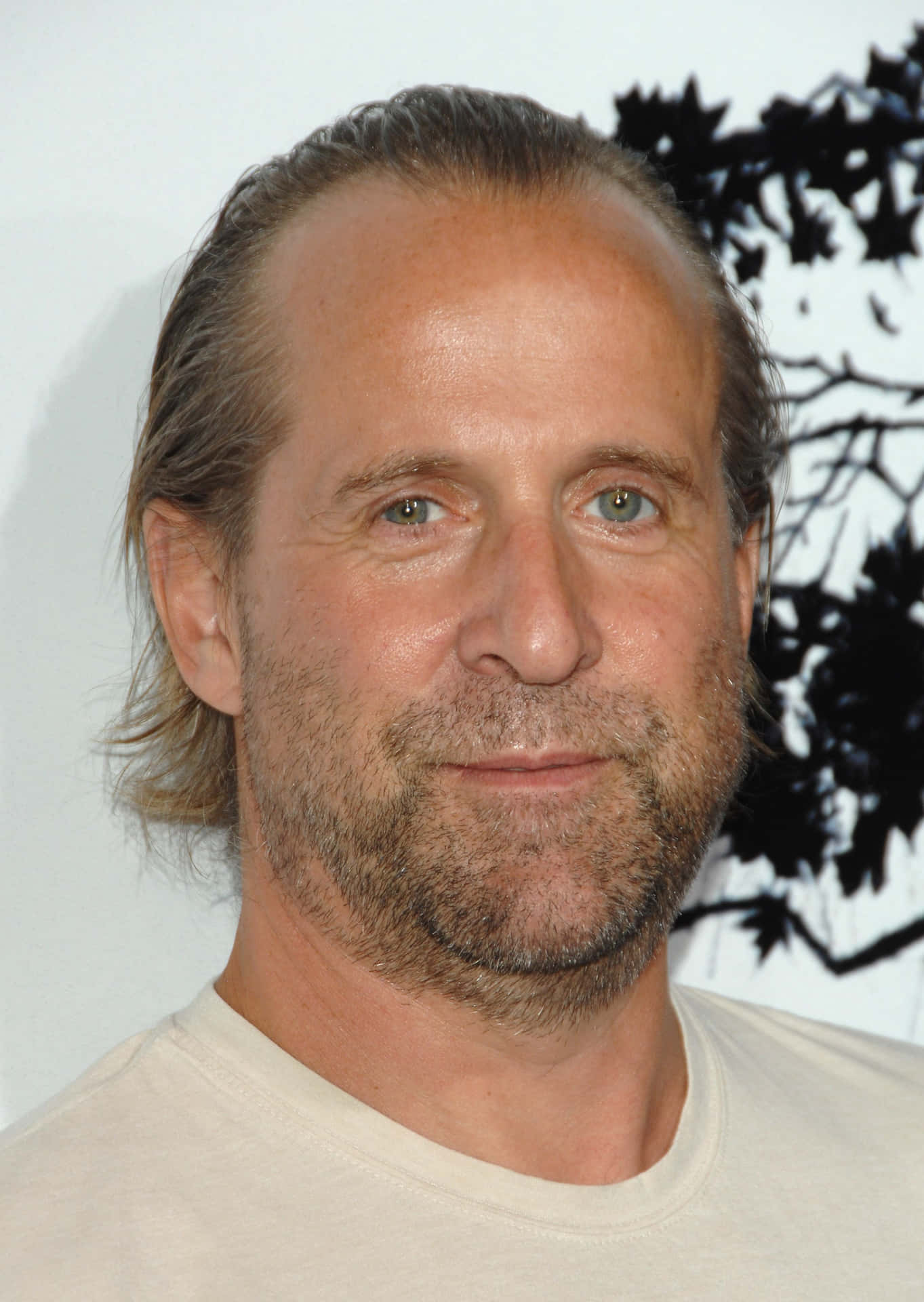 Actor Peter Stormare Brings His Iconic Presence To The World Of Film And Television. Background
