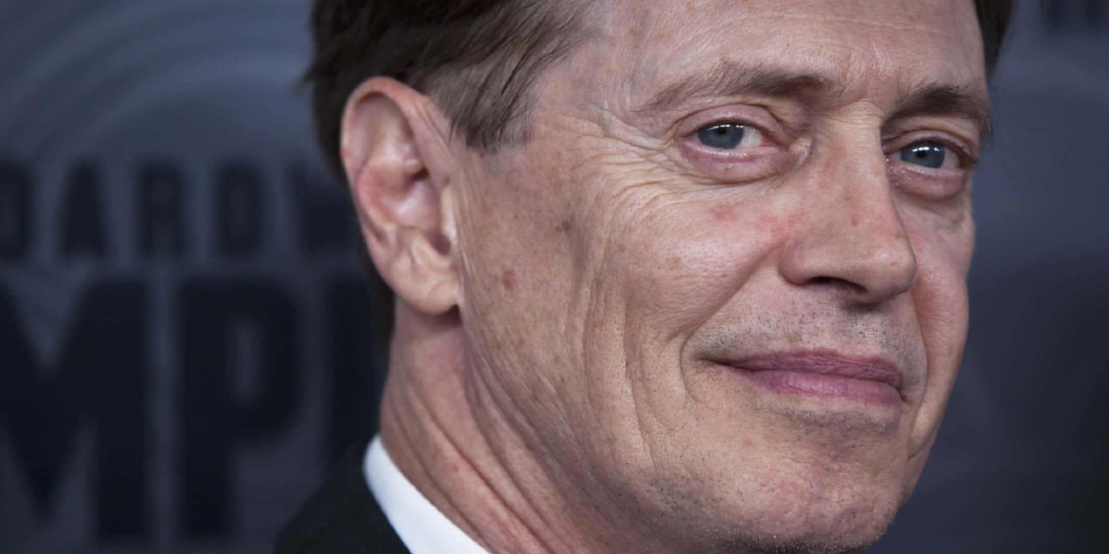 Actor Steve Buscemi Background