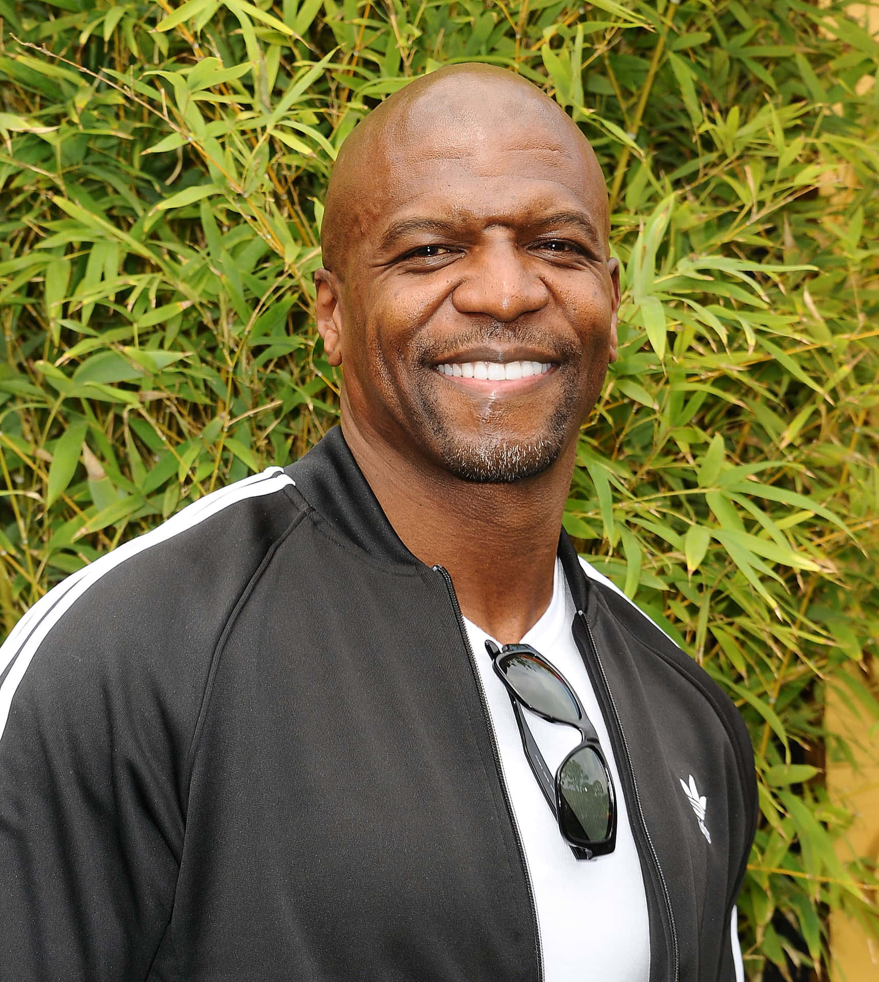 Actor Terry Crews Background