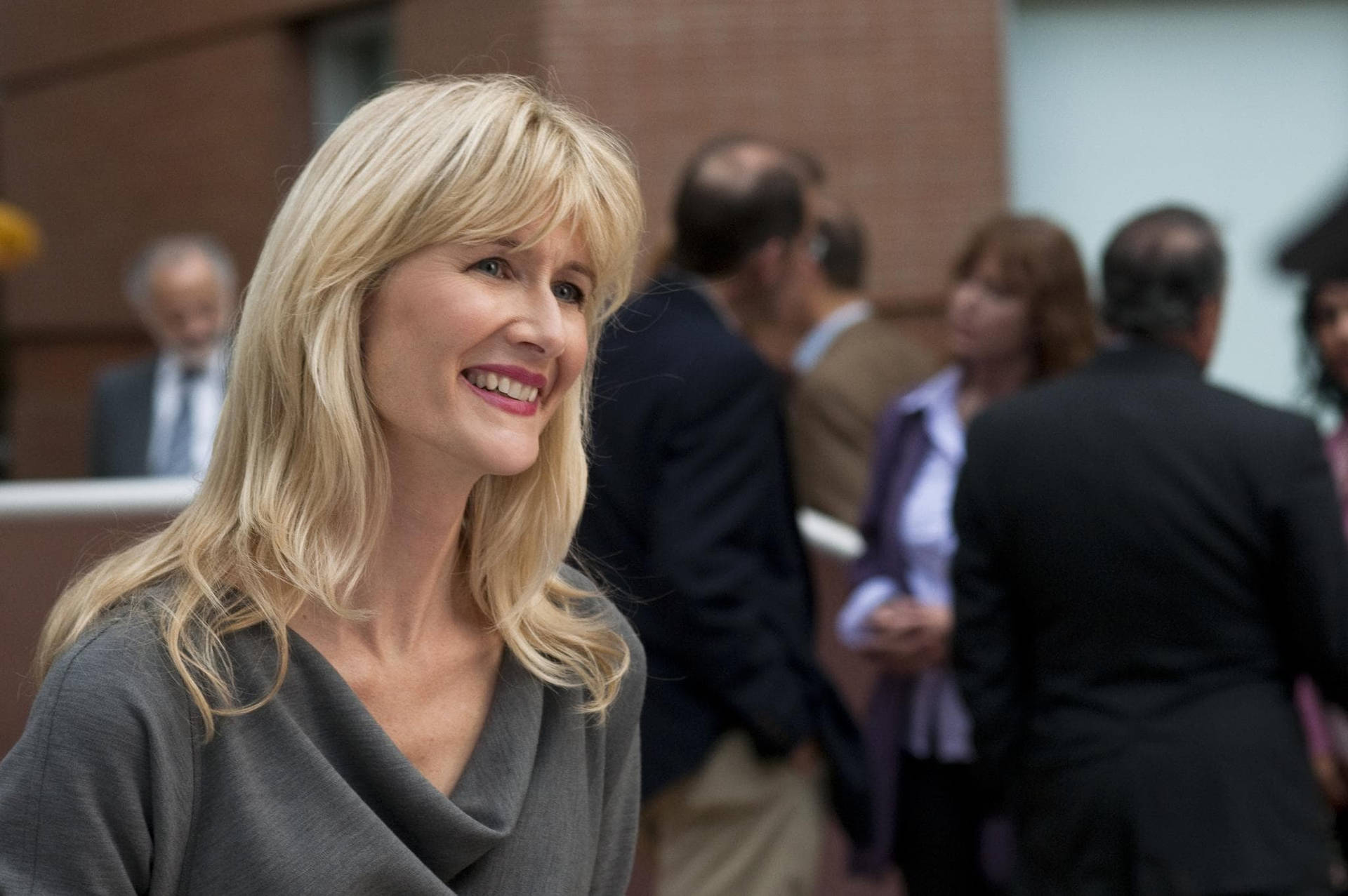 Actress Laura Dern In Little Fockers