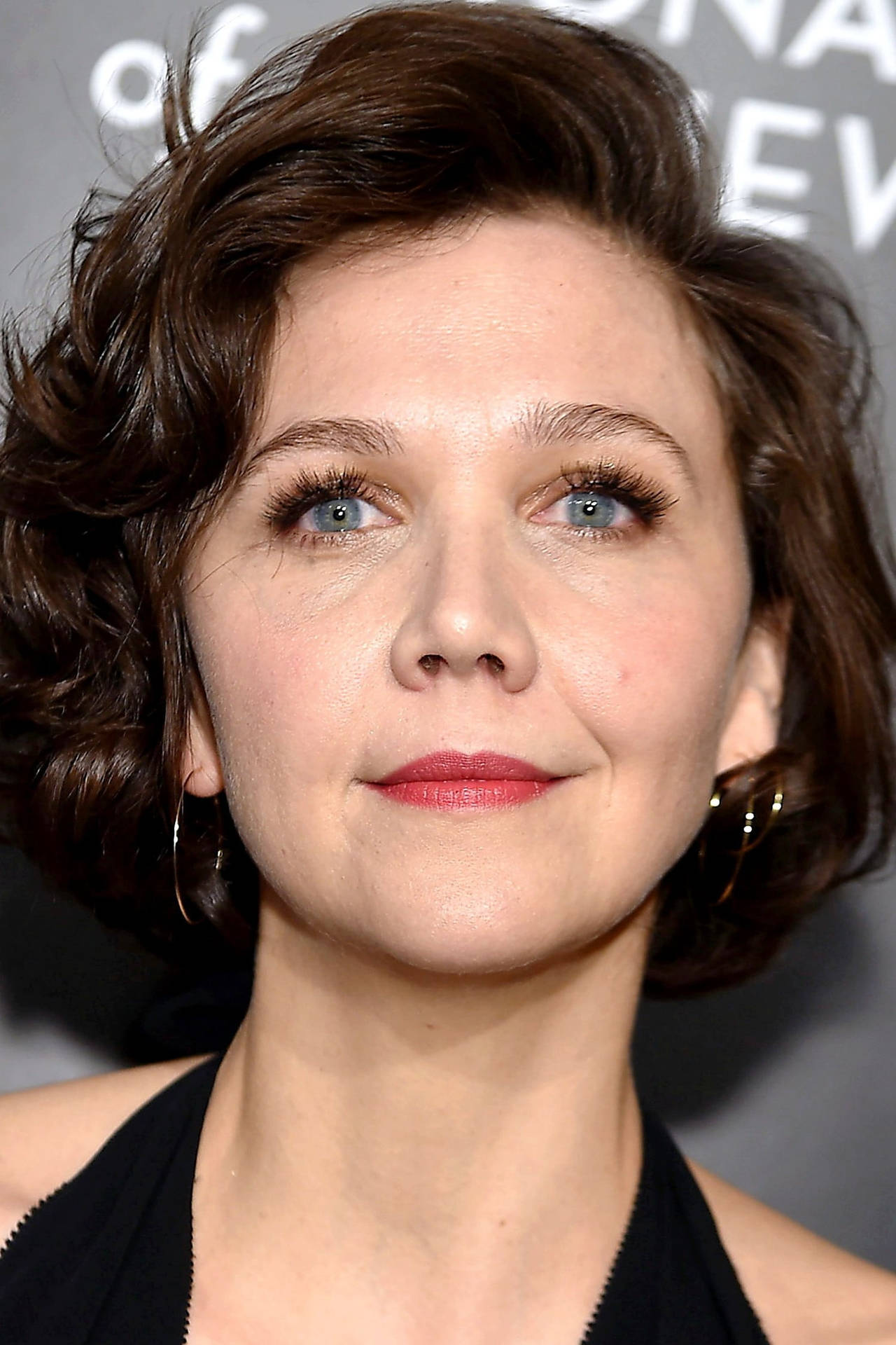 Actress Maggie Gyllenhaal Celebrity Background