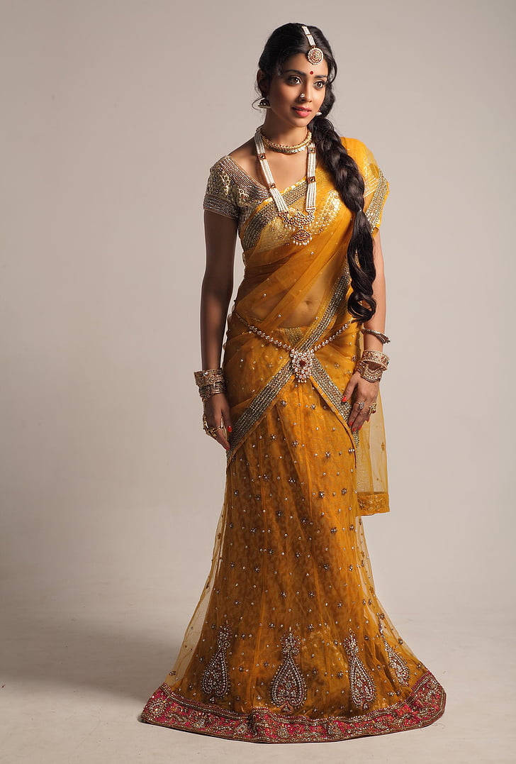 Actress Shriya Saran In A Saree Background