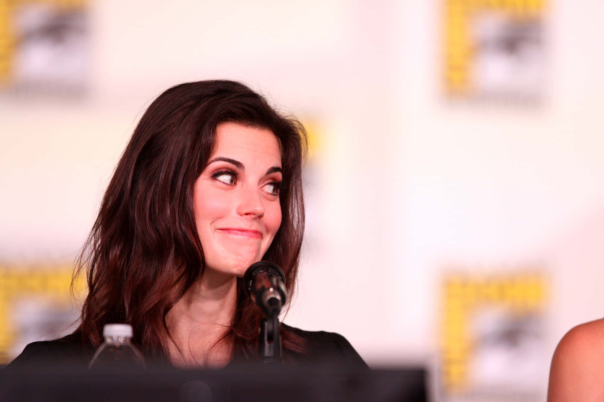 Actress Smiling During Panel Discussion Background