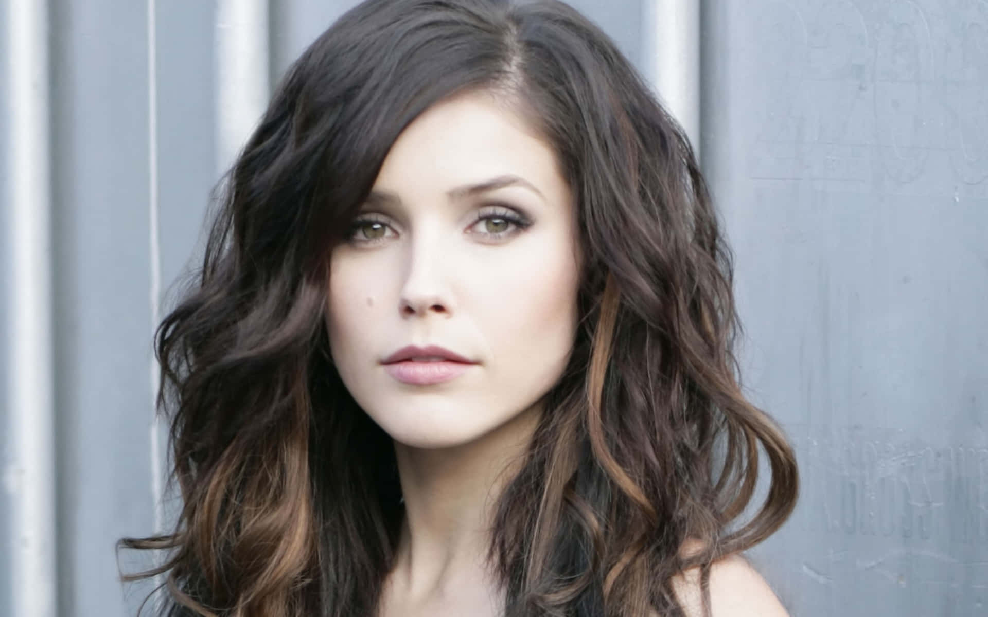 Actress Sophia Bush Poses For A Portrait Background