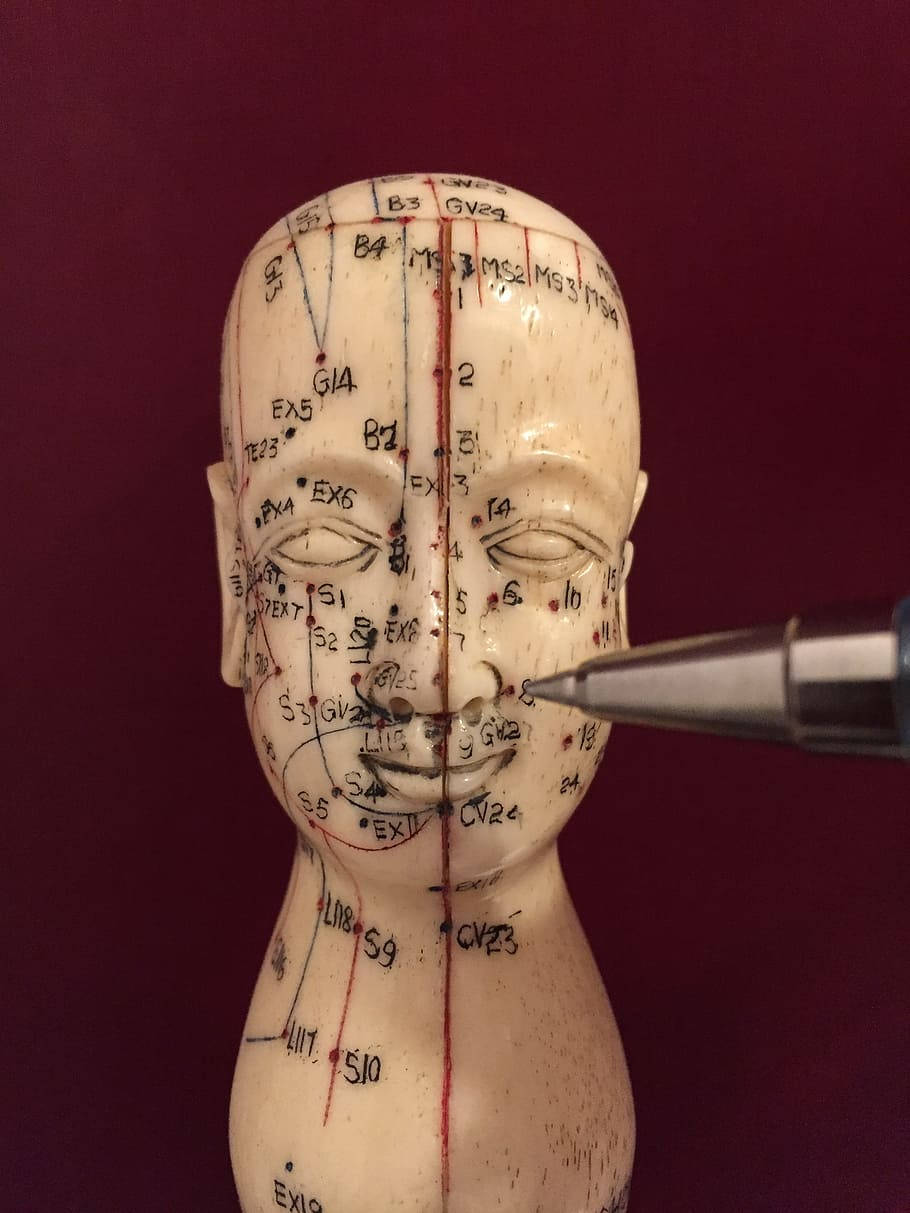 Acupuncturist With A Meridian Points Mannequin Background