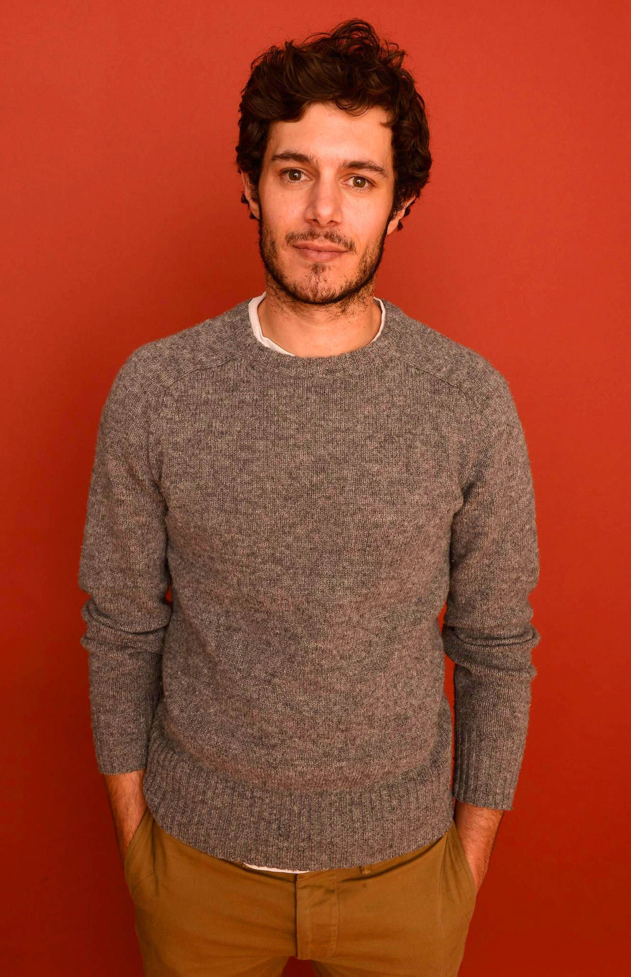 Adam Brody Grey Sweatshirt Background