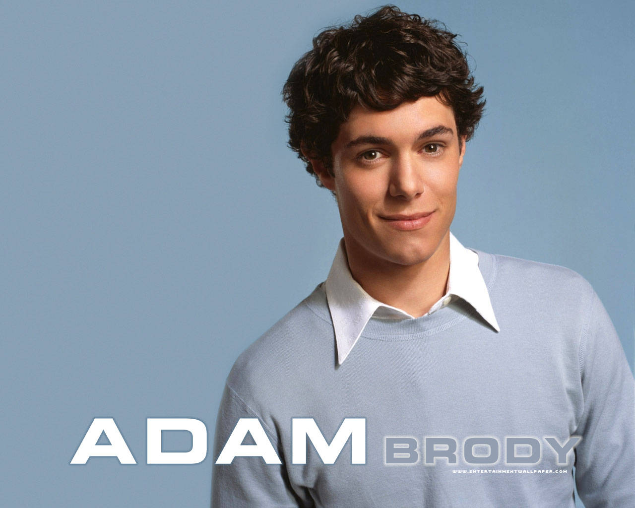 Adam Brody In Blue Background