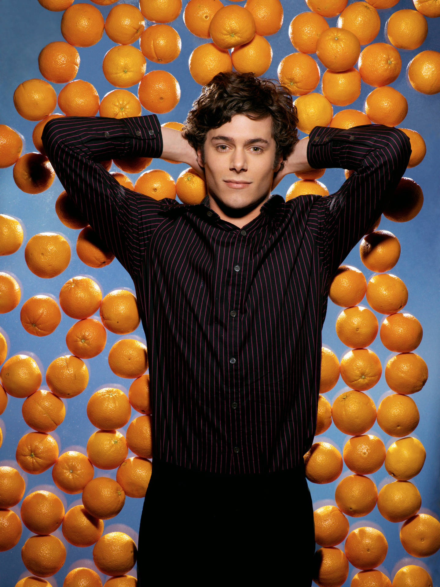 Adam Brody Oranges Background