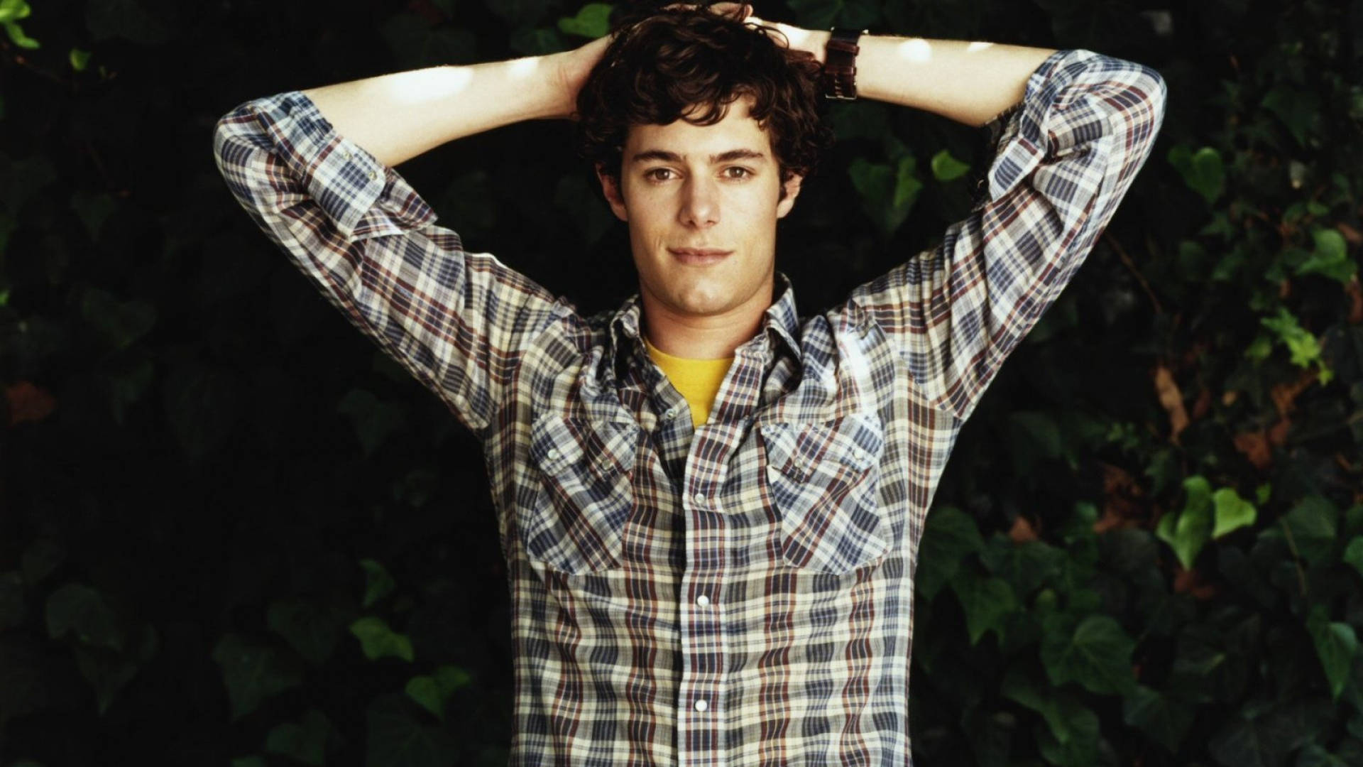 Adam Brody Plaid Background