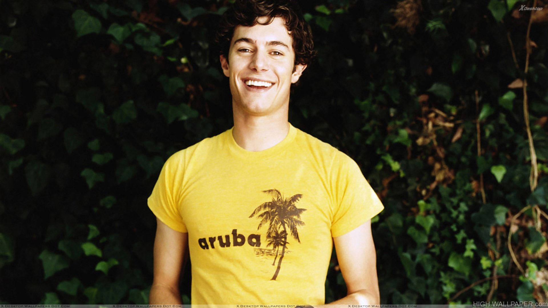 Adam Brody Yellow Shirt Background