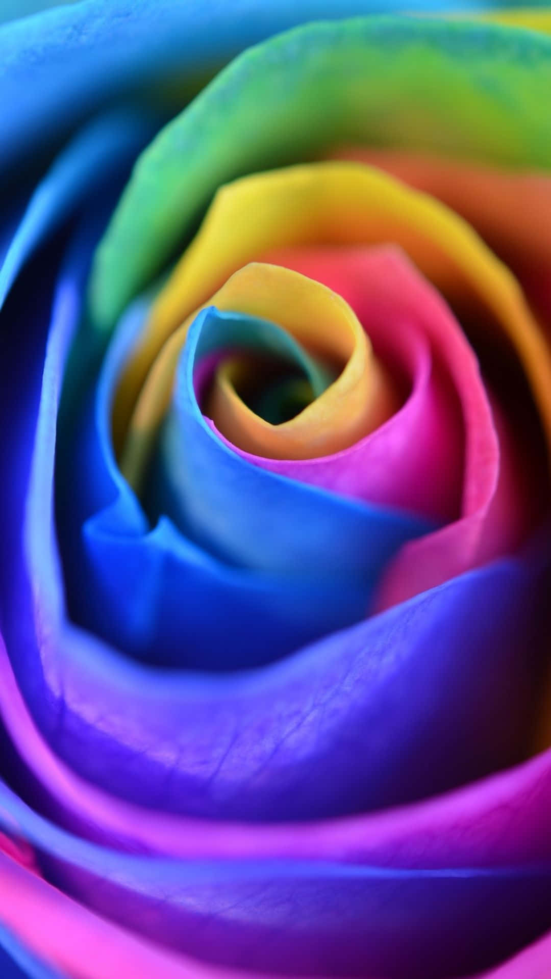Add A Burst Of Color To Your Smartphone With This Rainbow Flower Iphone Wallpaper! Background