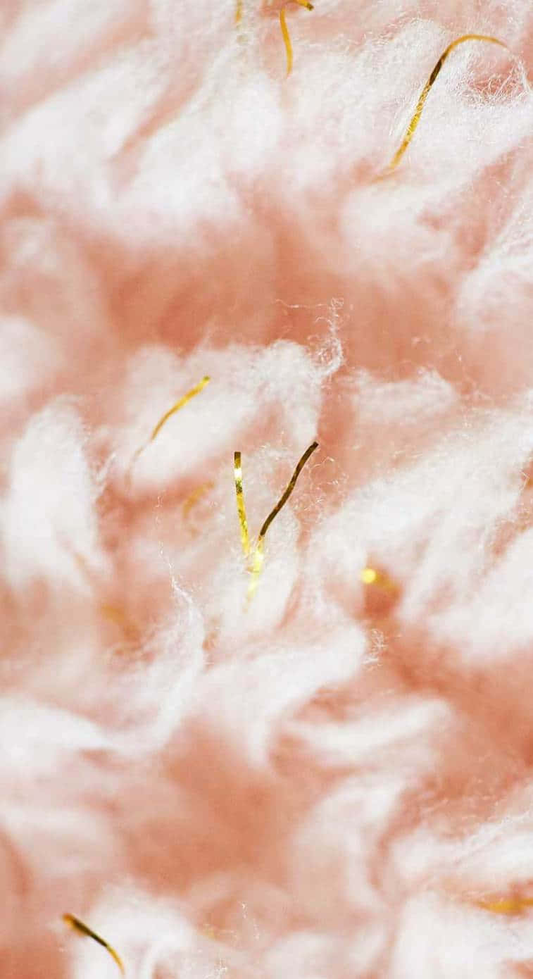 Add A Little 'peach' To Your Life Background