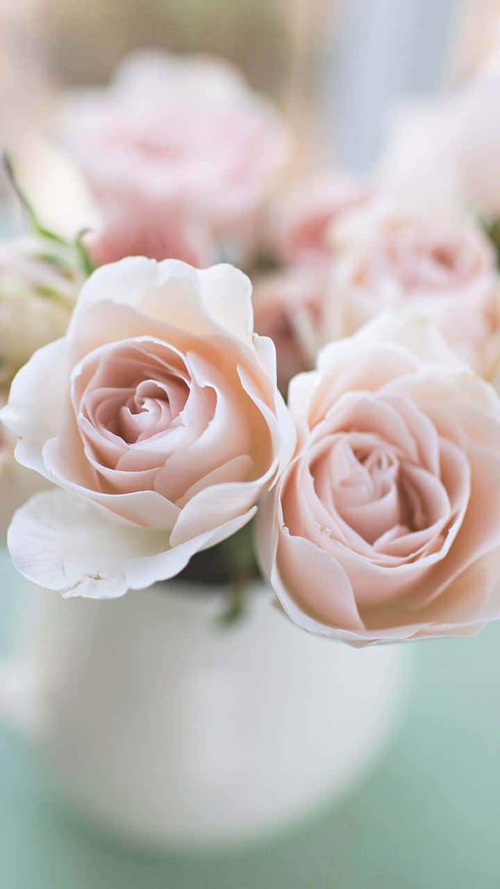 Add A Romantic Touch To Your Phone With Our Light Pink Floral Iphone Wallpaper. Background