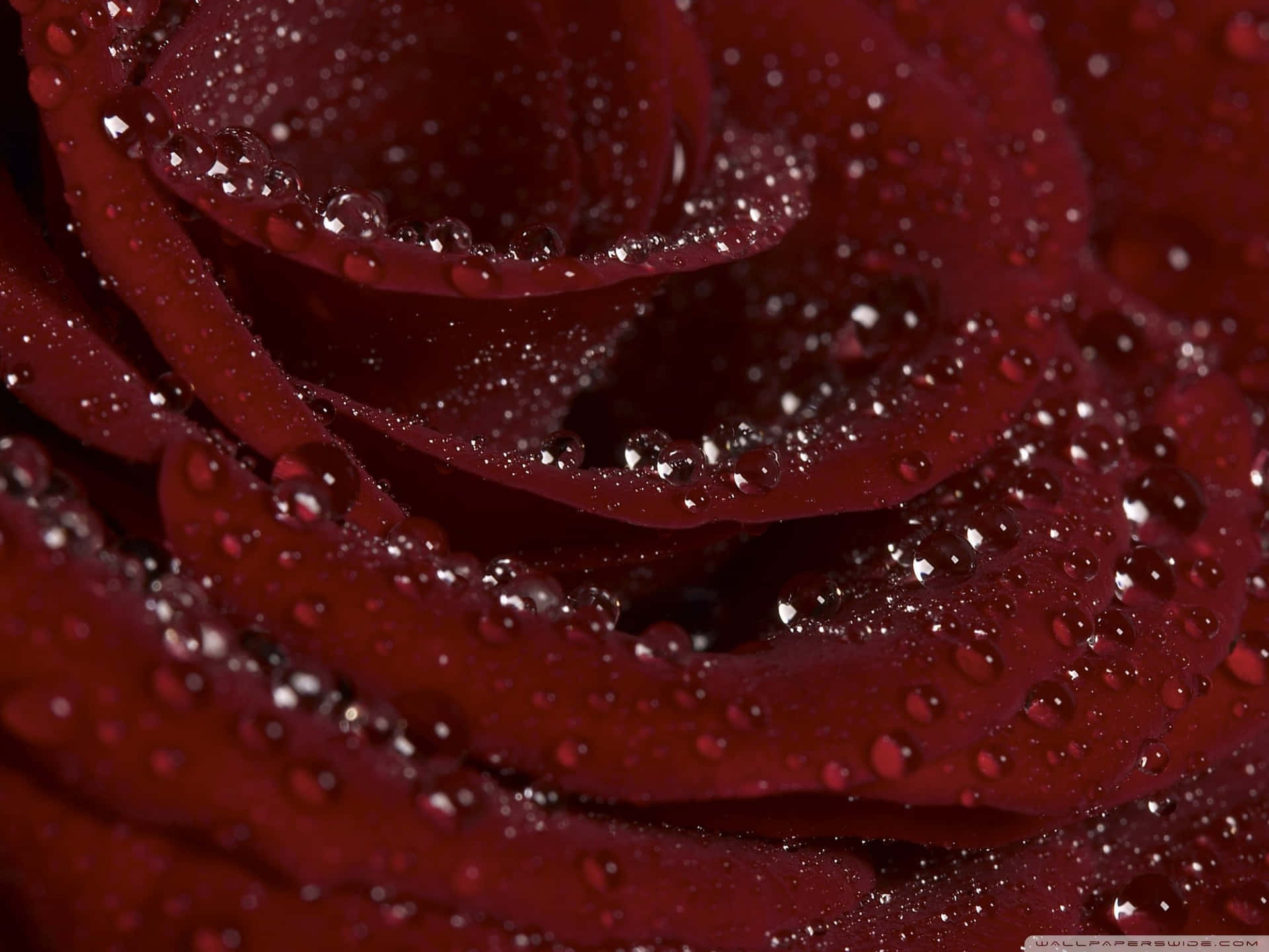 Add A Touch Of Maroon To Your Home Décor For A Cozy And Stylish Feel Background