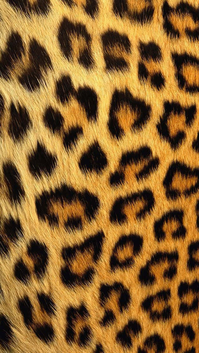 Add A Touch Of Wild To Your Screen With This Animal Print Iphone Wallpaper Background