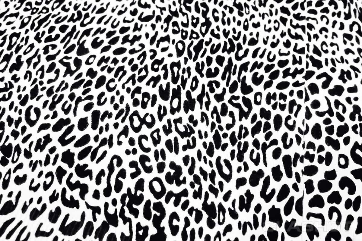 Add A Touch Of Wildness To Your Decor With This Stylish White Leopard Print Background
