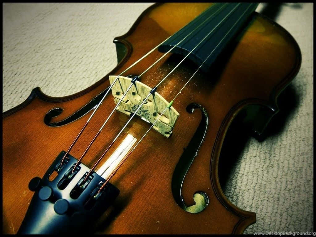 Add Passion To Your Music With This Classical Violin.