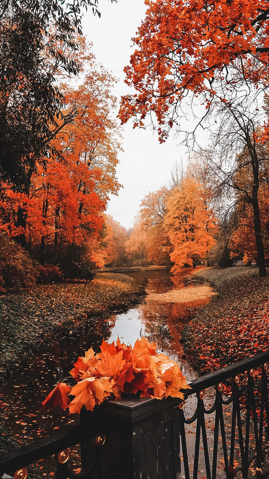 Adding A Touch Of Autumn To Your Phone Background