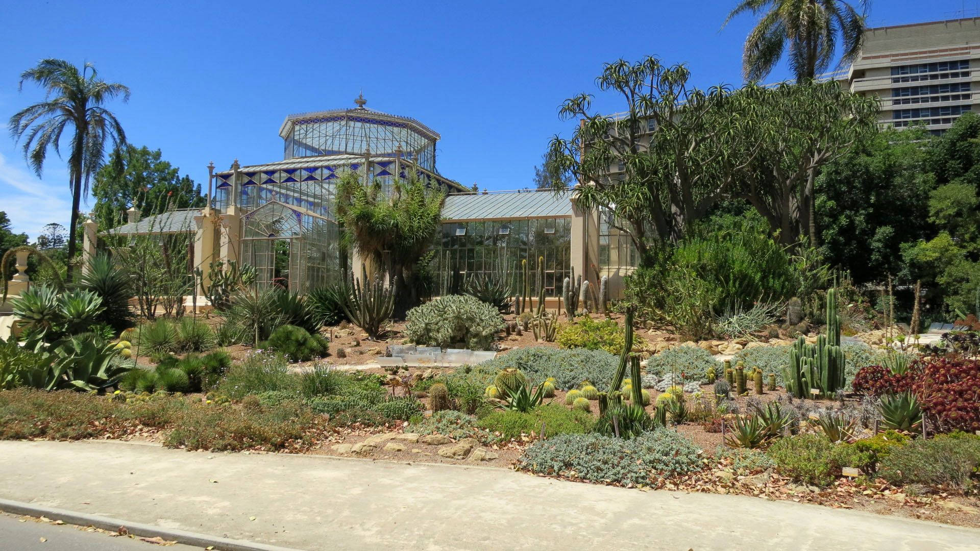 Adelaide Botanic Garden Green House Background