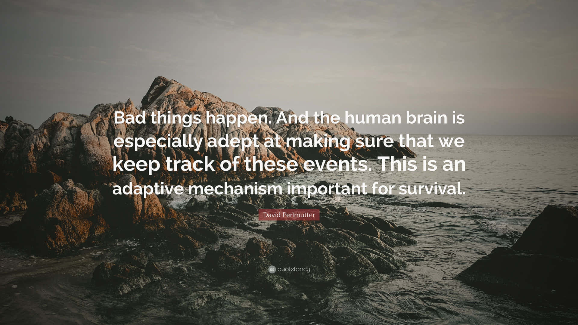 Adept Human Brain Quote Background