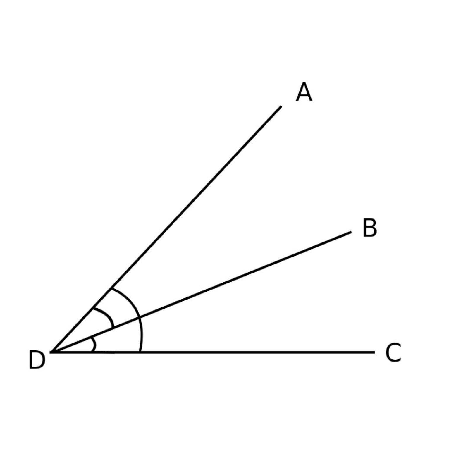 Adjacent Bisector Background