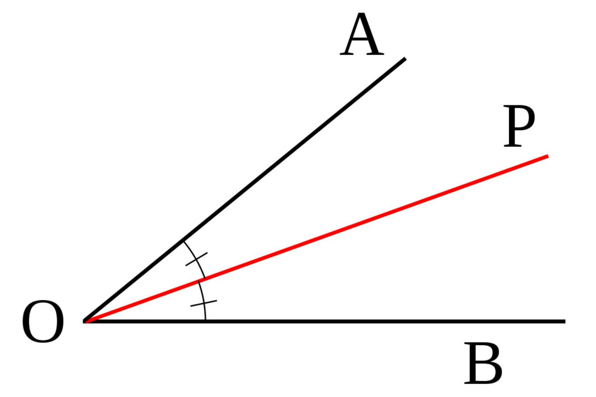 Adjacent Opposite