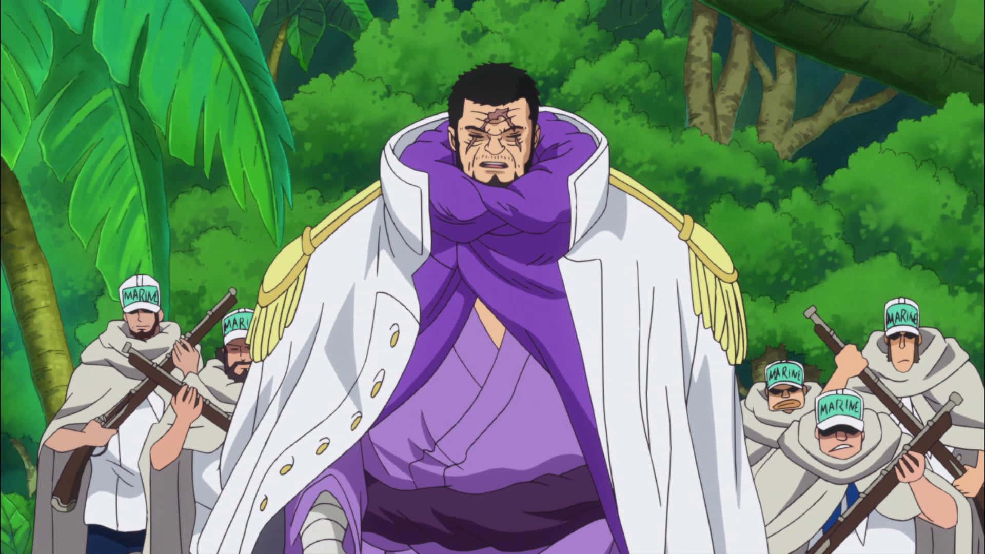Admiral Fujitora, Leader Of The Navy Background