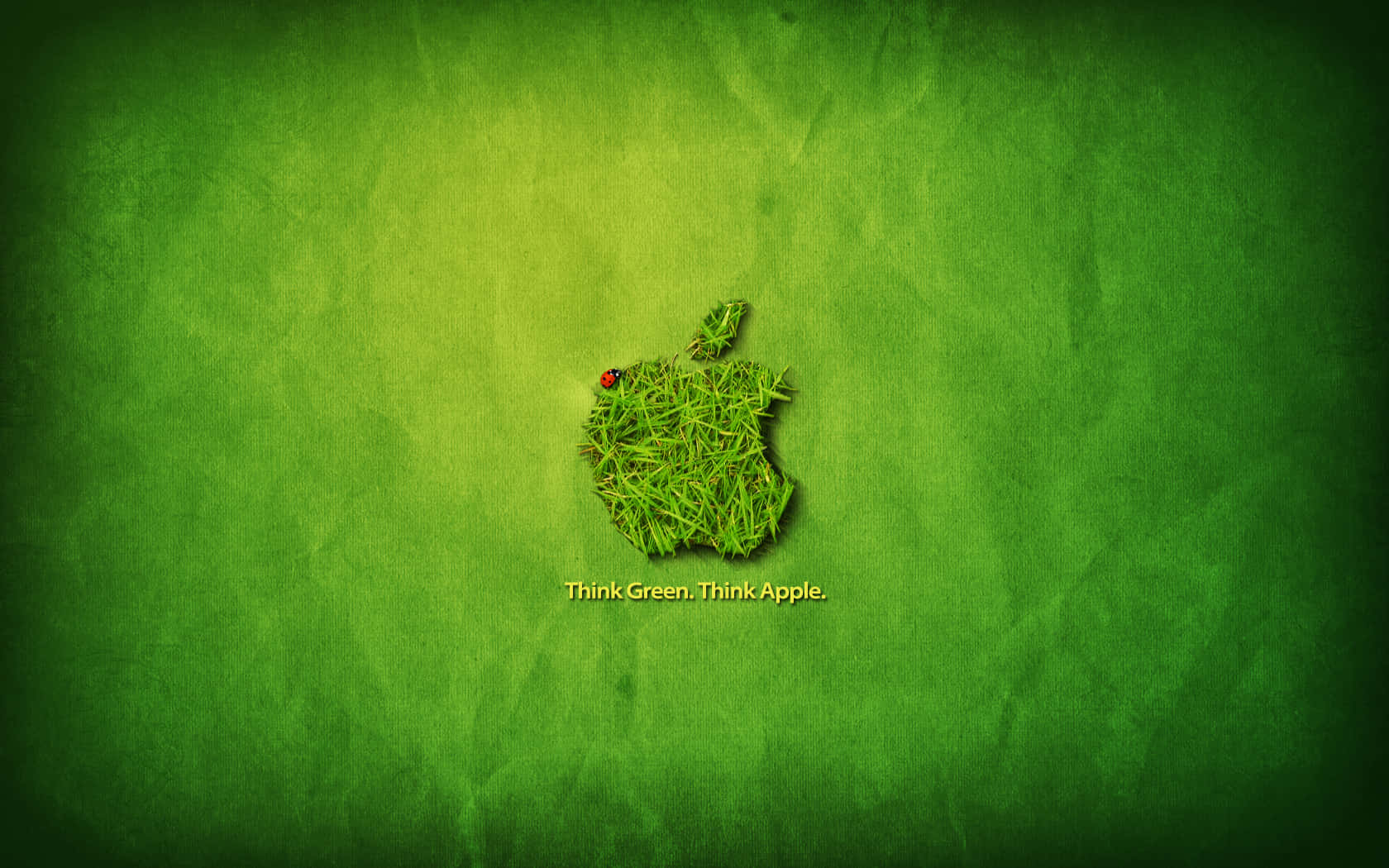 Admire The Beauty Of Apple Desktop Background