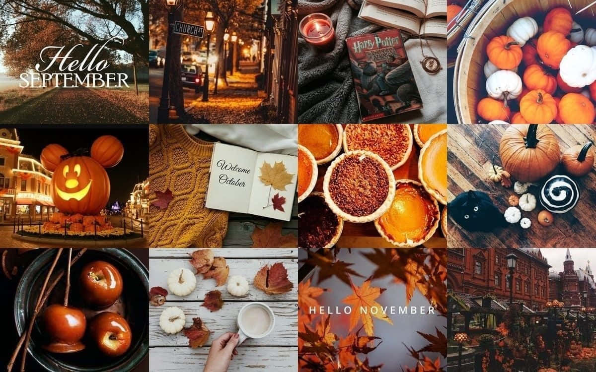 Admire The Beauty Of Fall With This Stunning Autumn Collage Wallpaper.