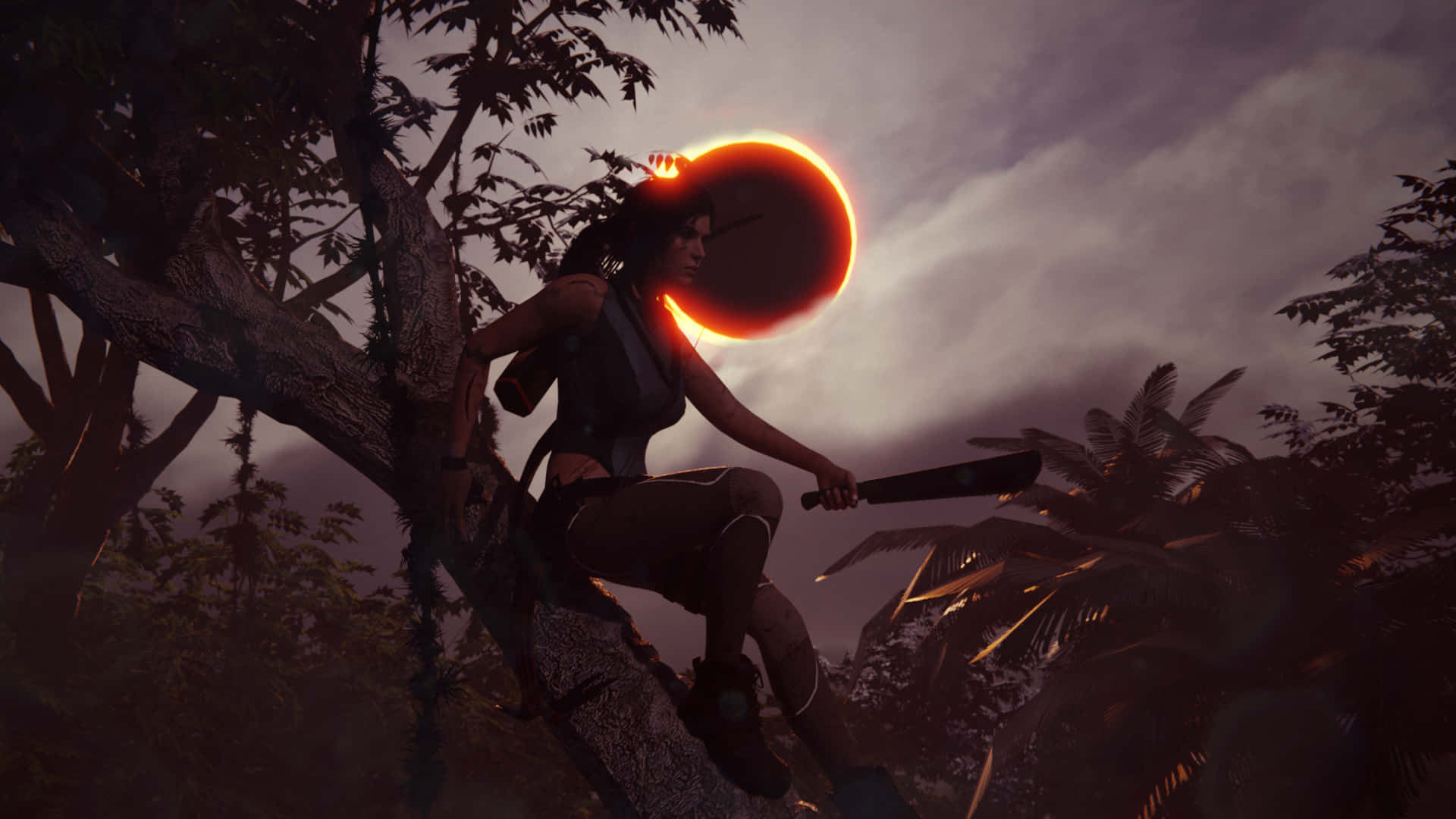 Admire The Shadow Of The Mysterious Tomb Raider Background