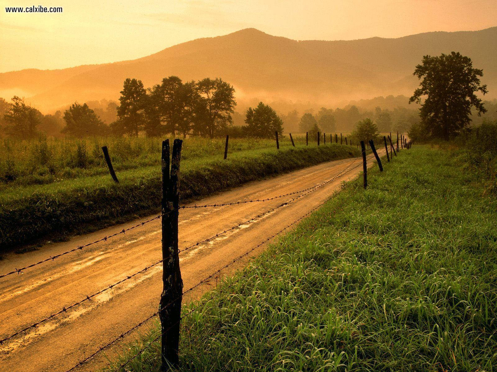 Admire The Stunning Natural Beauty Of Tennessee's Great Smoky Mountains Background