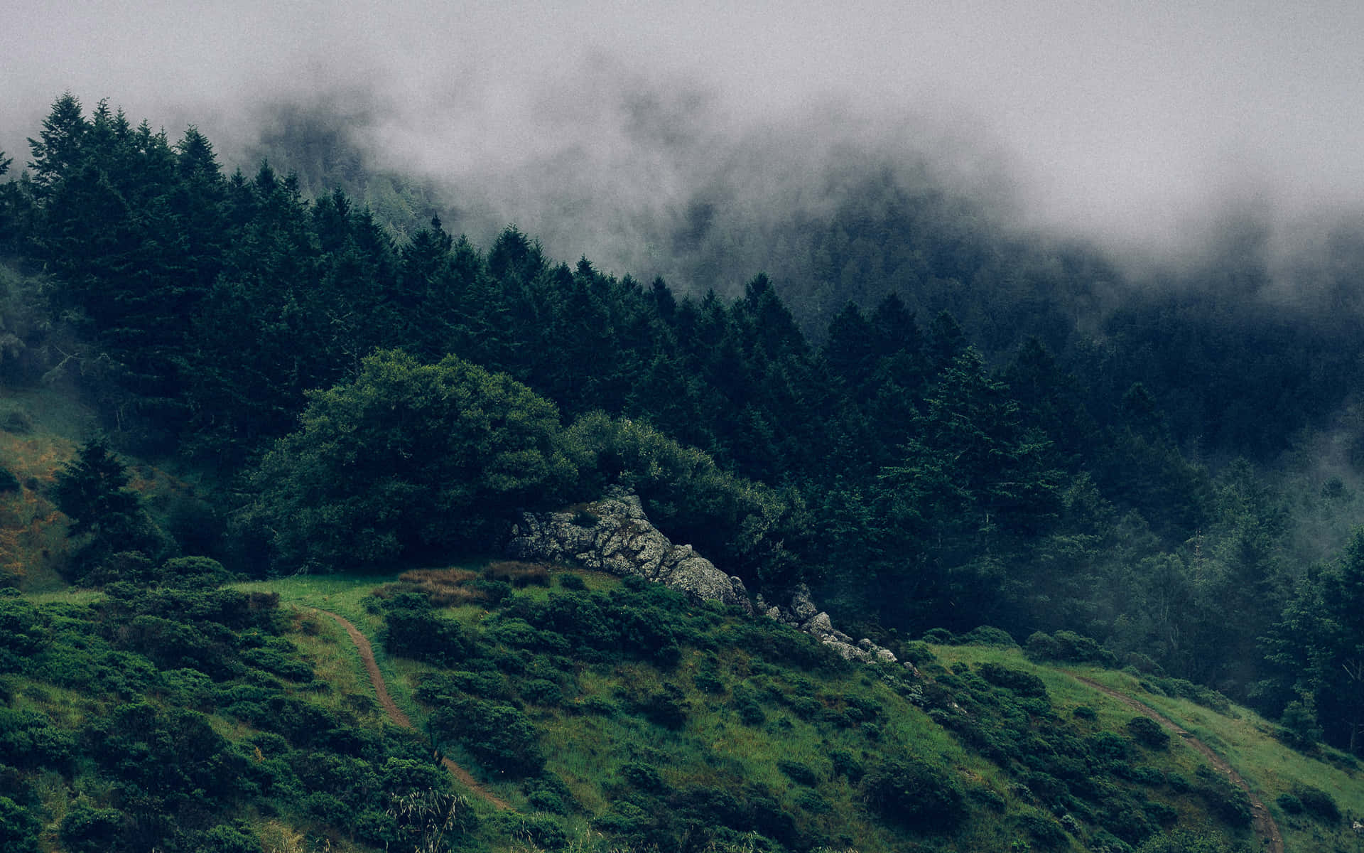 “admiring The Magnificent Mountain Aesthetic”