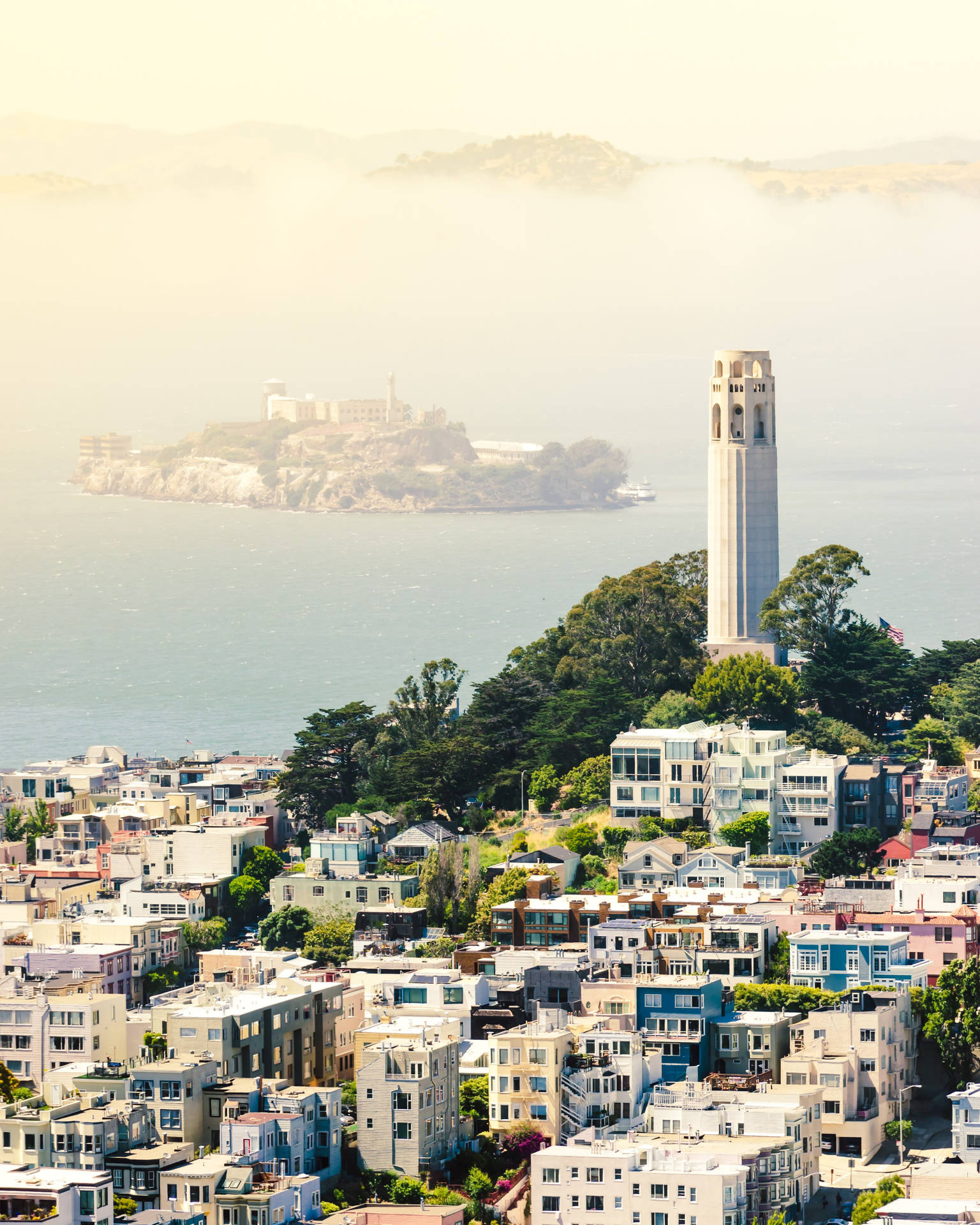 Admiring The Magnificent View Of San Francisco's Coit Tower Background