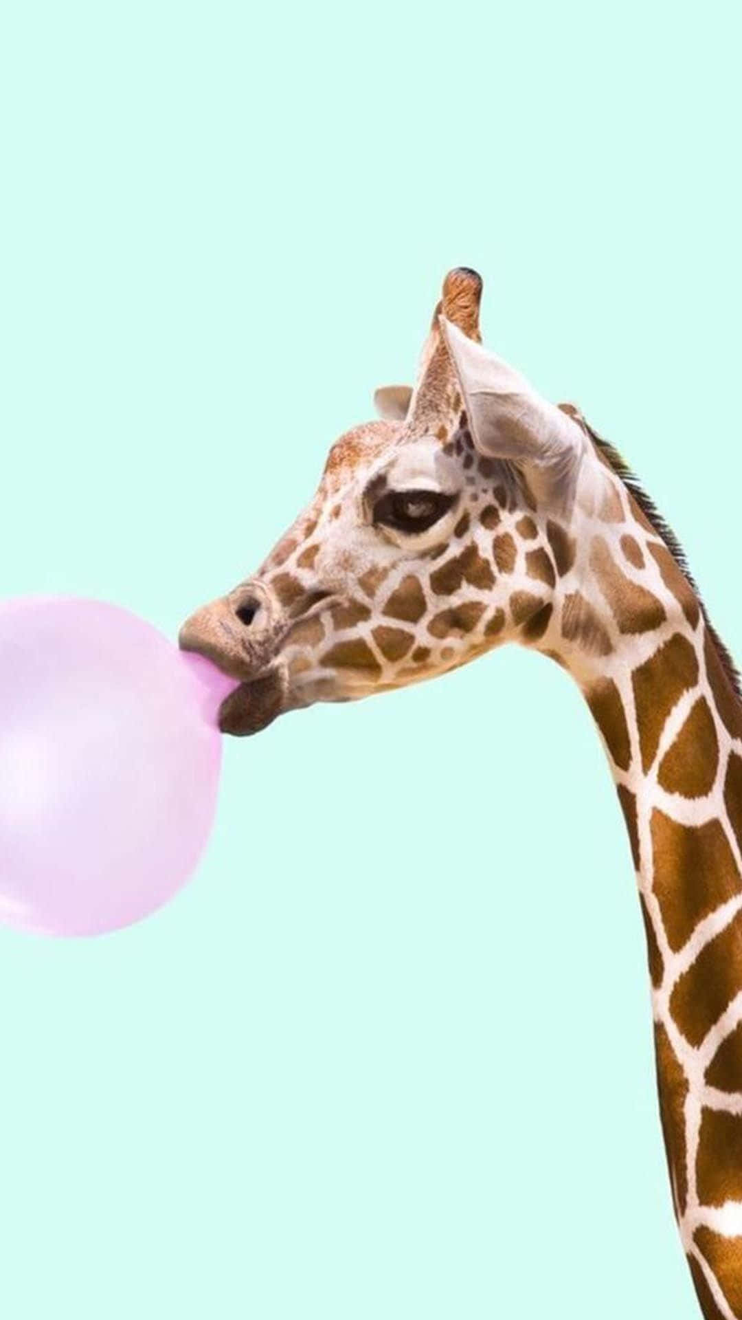 Adorable Animal Compatible With Your Iphone. Background