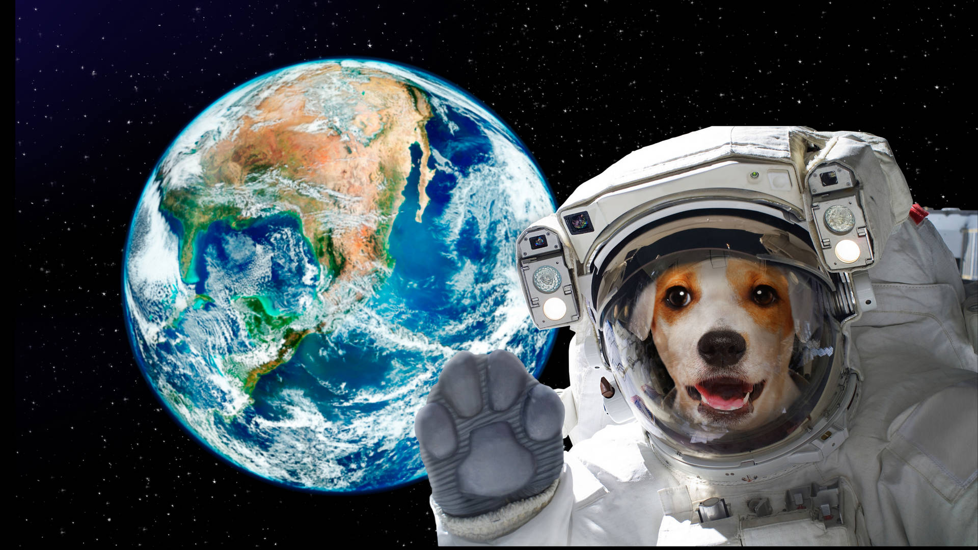 Adorable Astronaut Dog