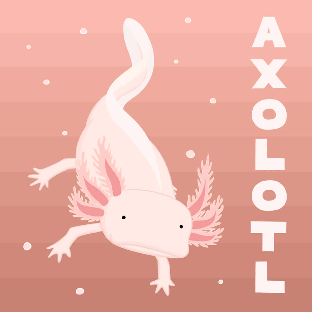 Adorable Axolotl In A Magical Pink Universe Background