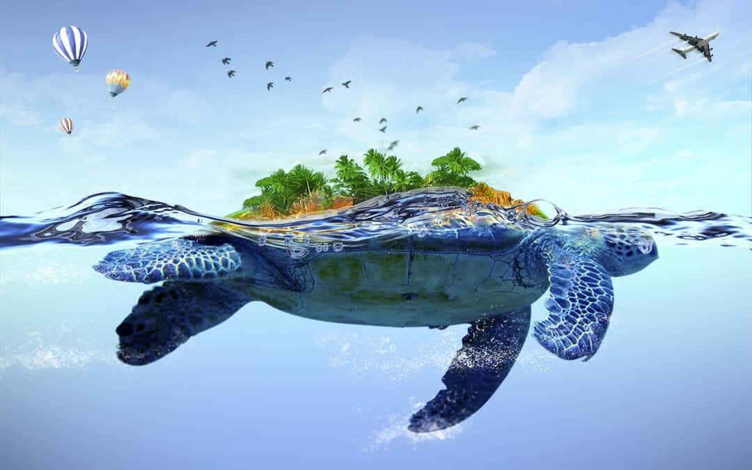 Adorable Baby Turtle Taking A Dip Background