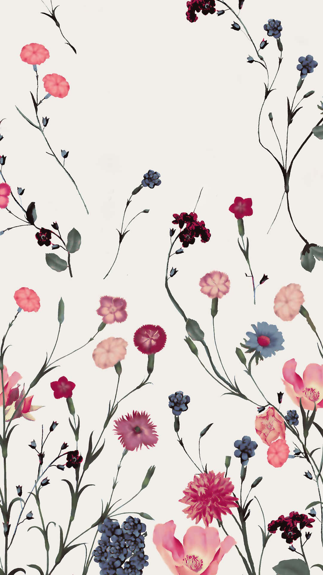 Adorable Blossoms - An Array Of Colors And Grandeur Background