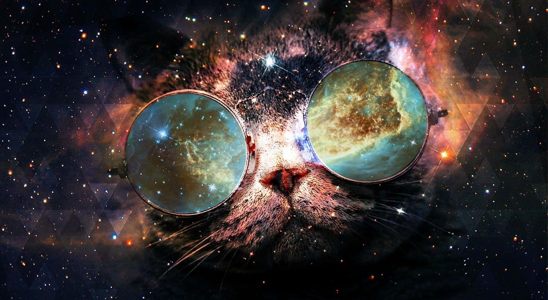 Adorable Cat Snuggled In A Galaxy Of Dreams Background