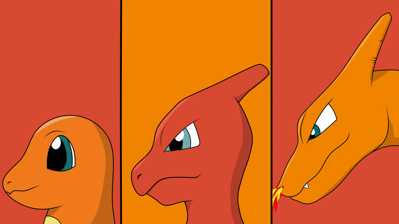 “adorable Charmander” Background